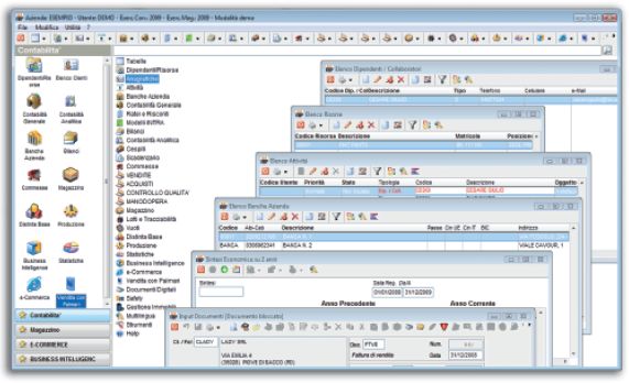Software gestionale Vision ERP